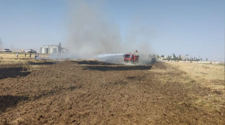 Mardin'de 55 dönüm ekili buğday kül oldu