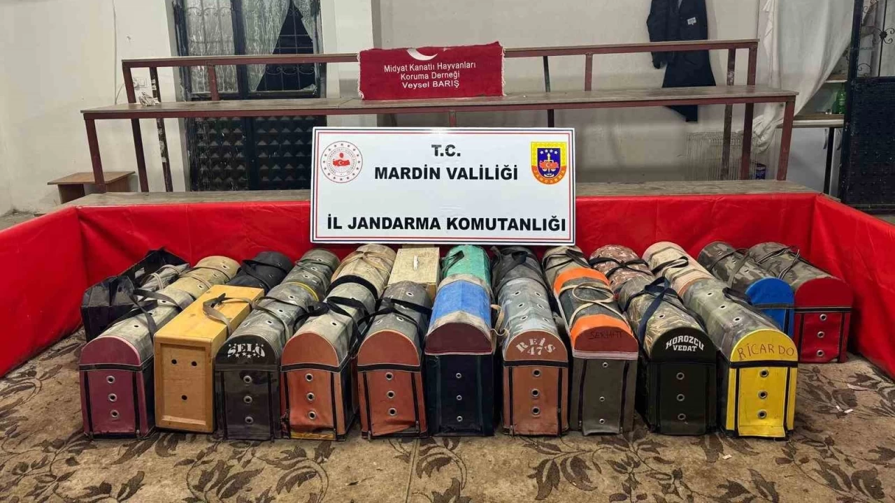 Mardin'de horoz d�v��t�ren 83 ki�iye 578 bin lira ceza