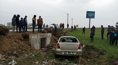 Mardin'de otomobil yol kenarna utu