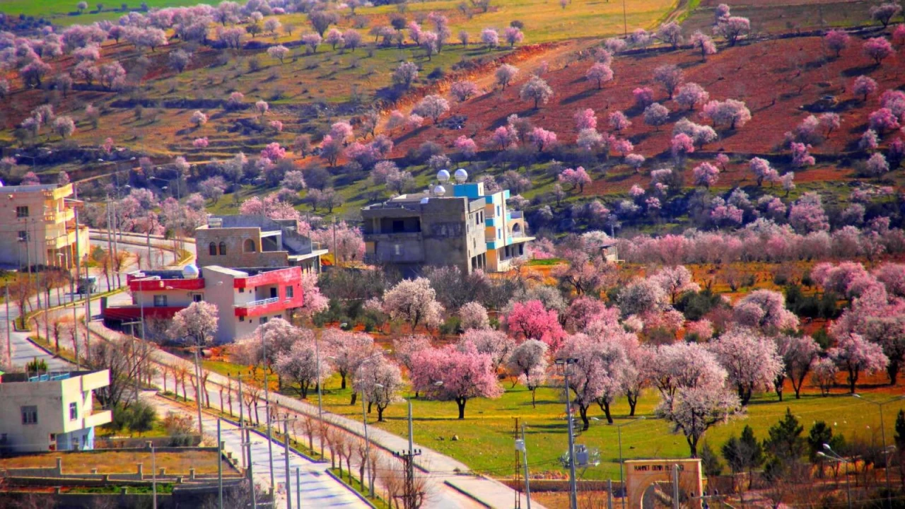 Mardin'in gizli cennetlerinden biri: Yeşilli