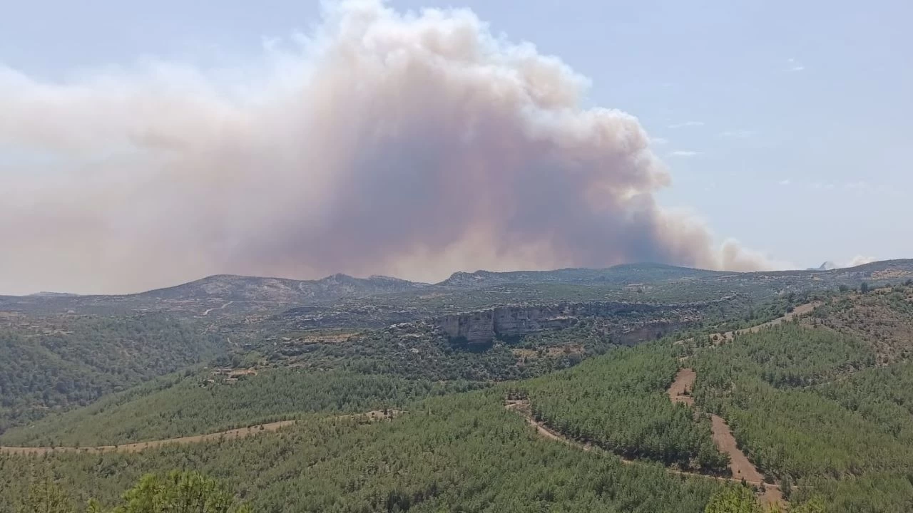 Mersin'de ormanl�k alanda yang�n ��kt�