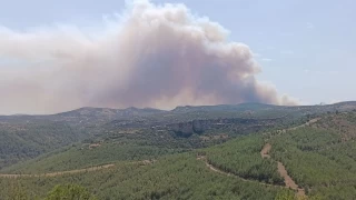 Mersin'de ormanlık alanda yangın çıktı