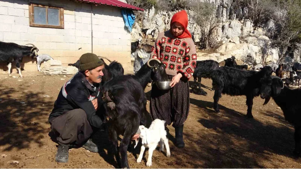 Mersinli Y�r�k k�z�, baba mesle�iyle k�lt�r�n� ya�at�yor