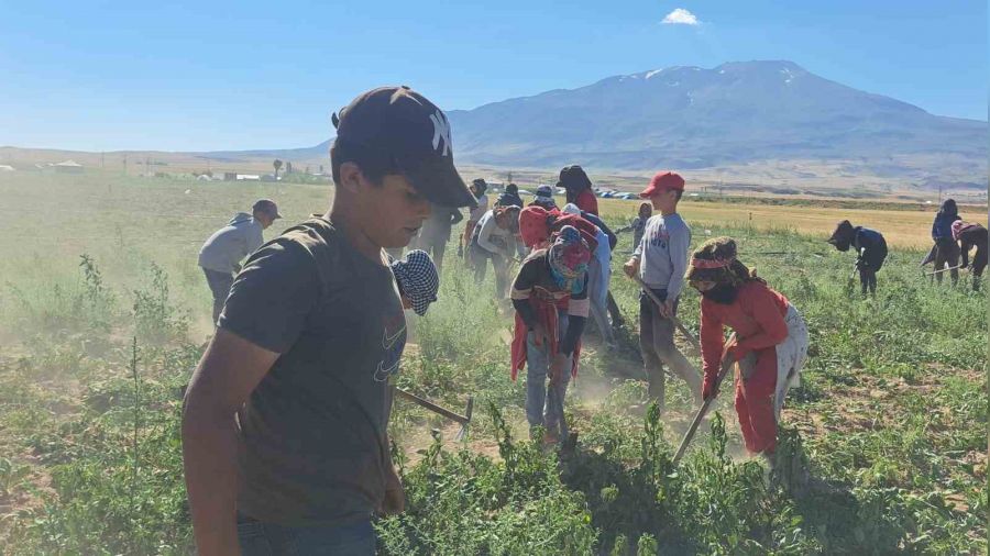 Mevsimlik i��ilerin kavurucu s�cakta ekmek m�cadelesi