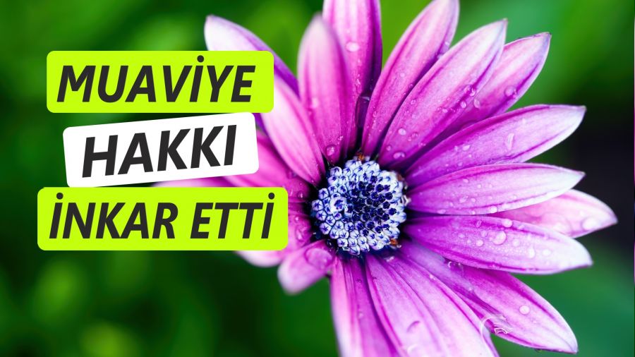 Muaviye, hakkı inkâr etti
