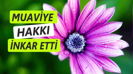 Muaviye, hakkı inkâr etti