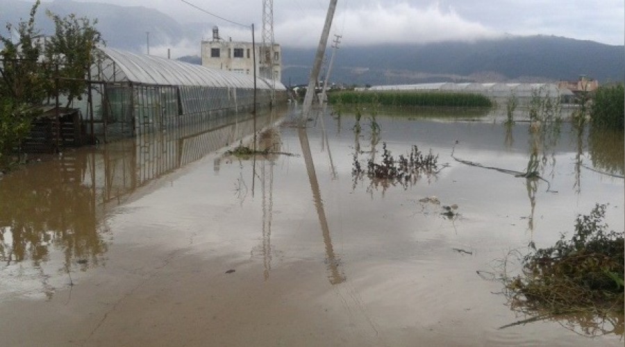 Muz seraları 1,5 metrelik suyun altında kaldı