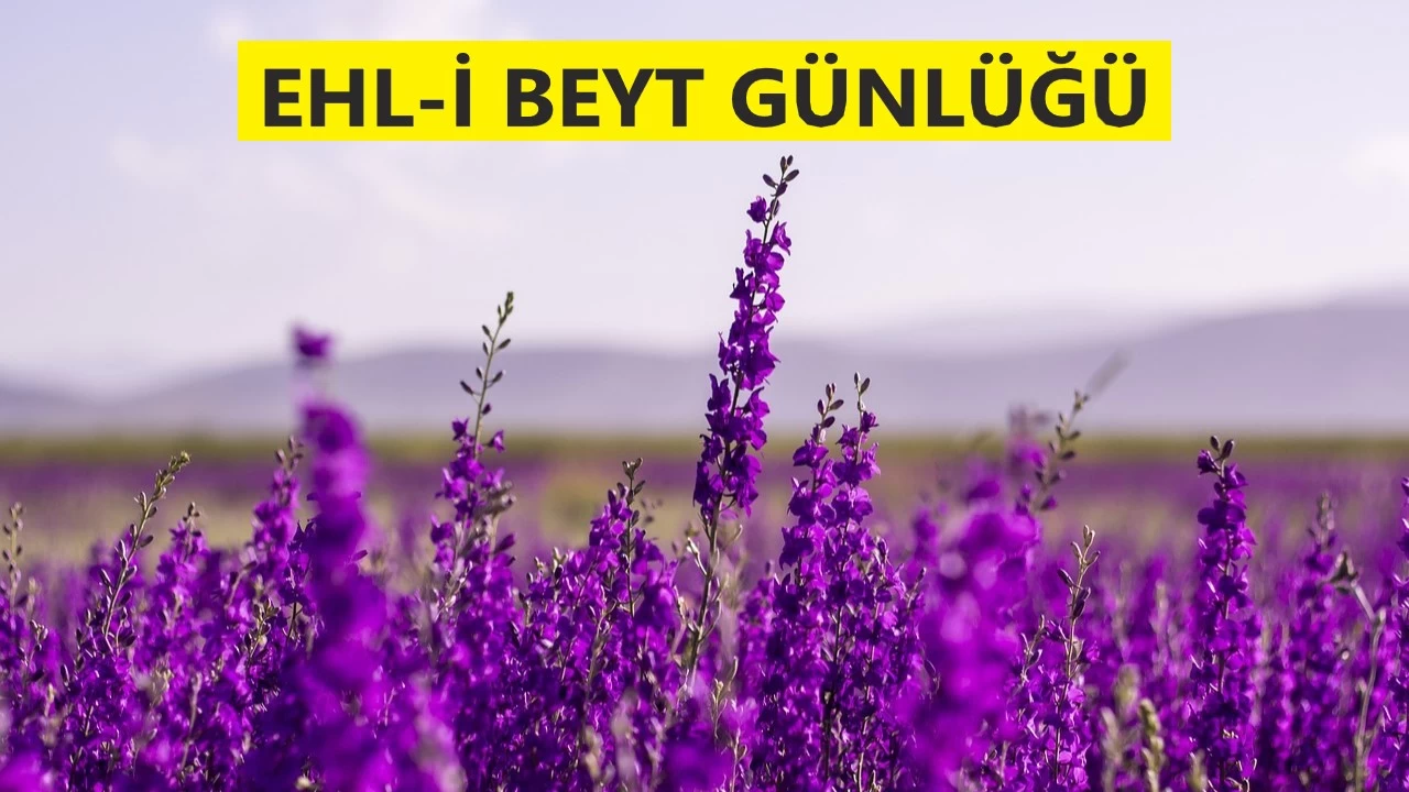 �Ne yalanlad�m, ne de yalanland�m�