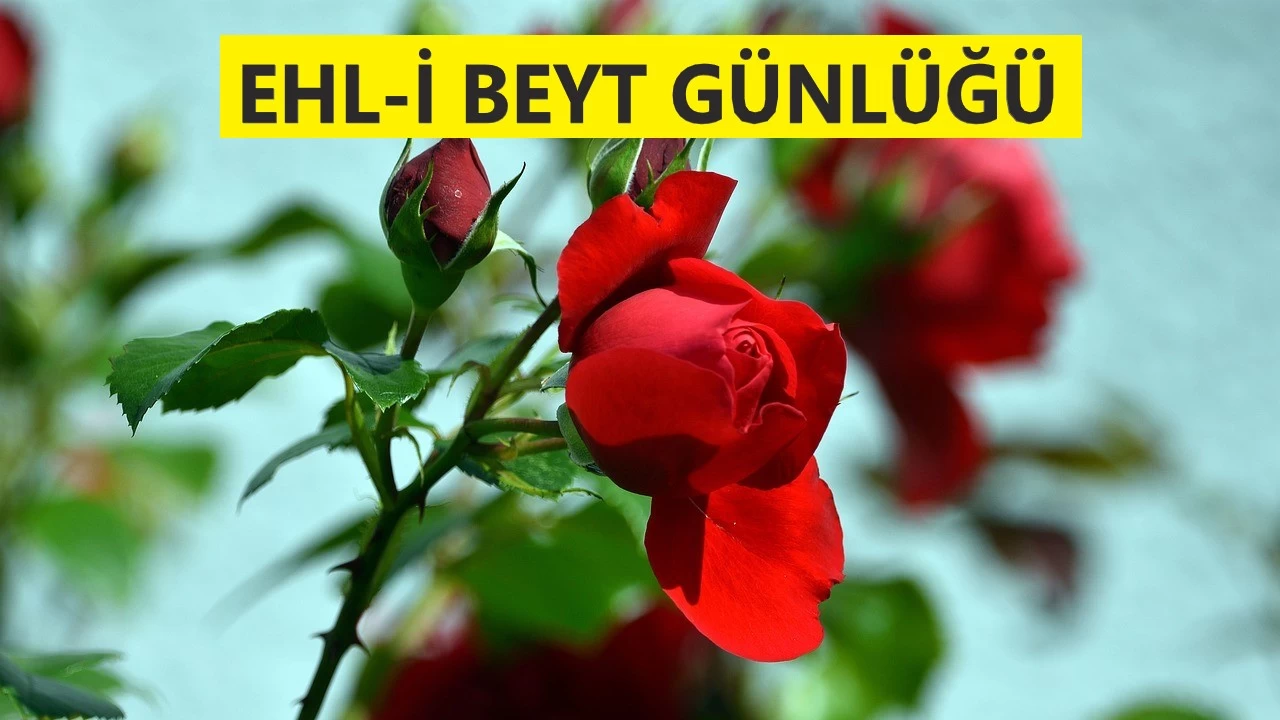 O, hevâları ilâhî hidayete bağlar