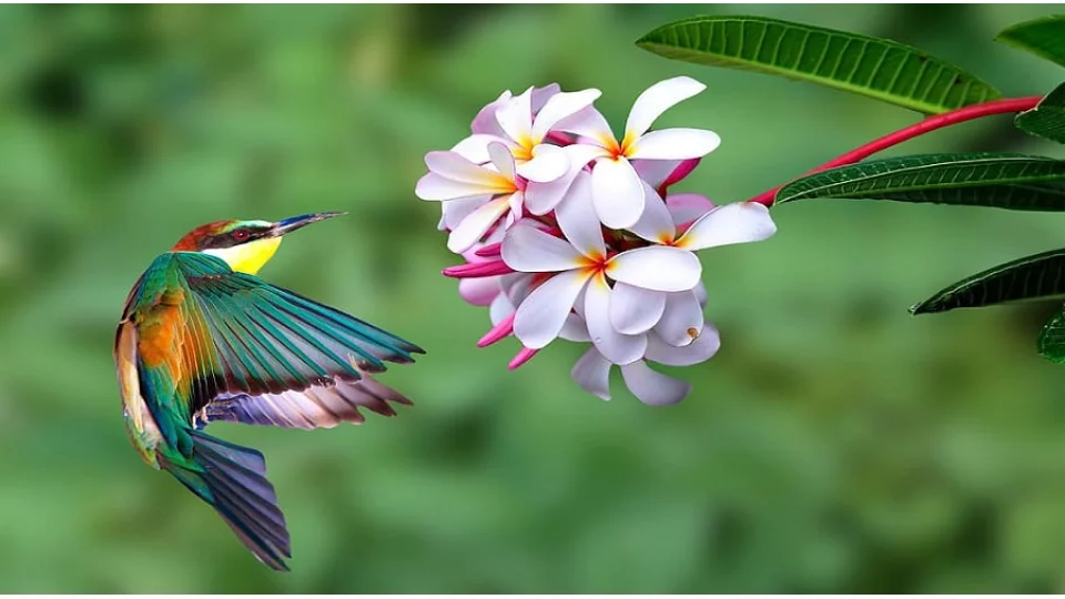 Olaylardaki sebep ve hikmet zinciri