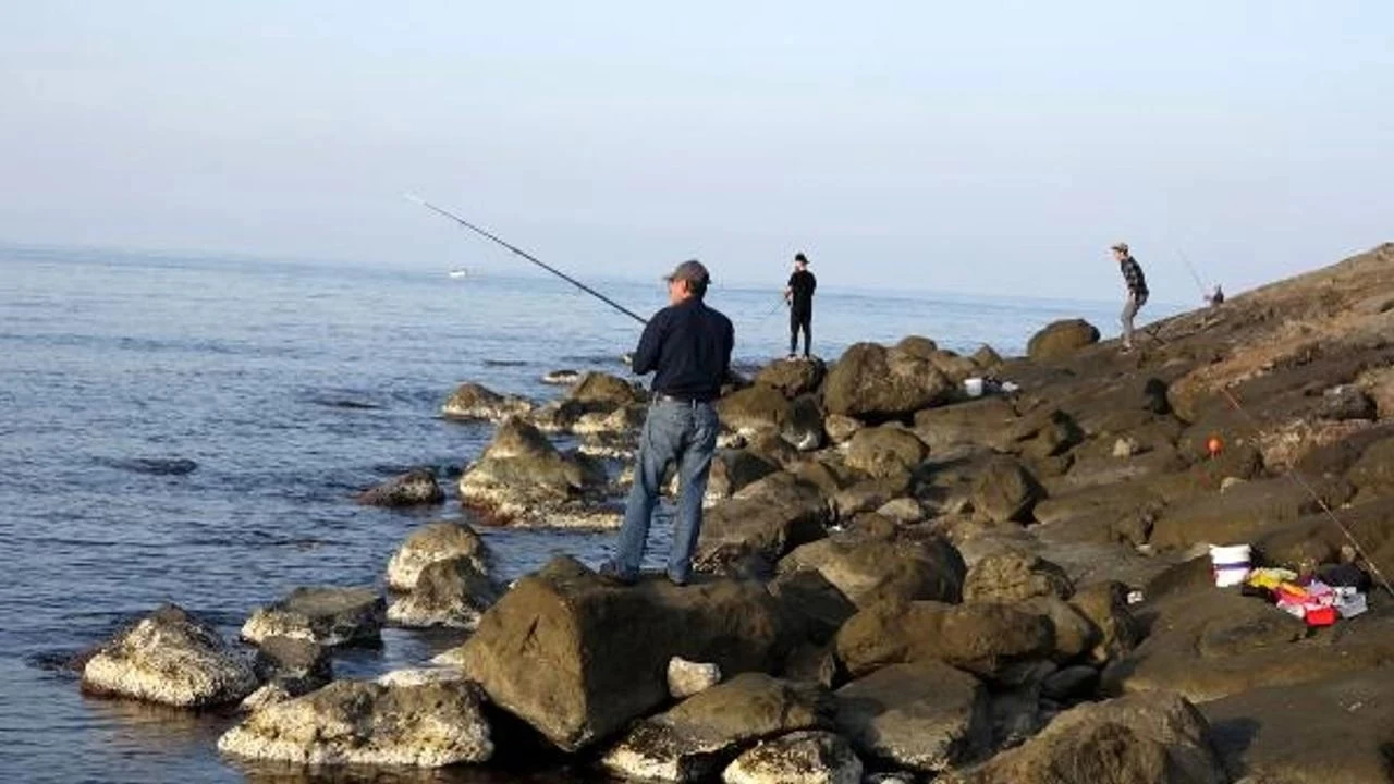 Olta balıkçılığı: Bir tutku ve beceri