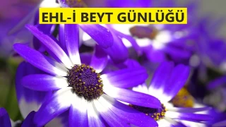 Onlar, uyulan imamlardır