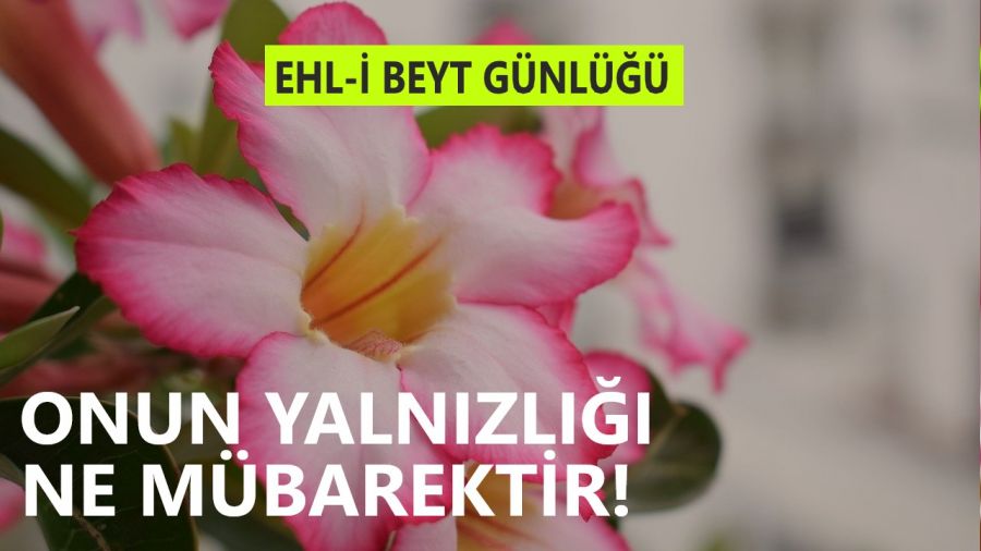 Onun yaln�zl��� ne m�barektir!