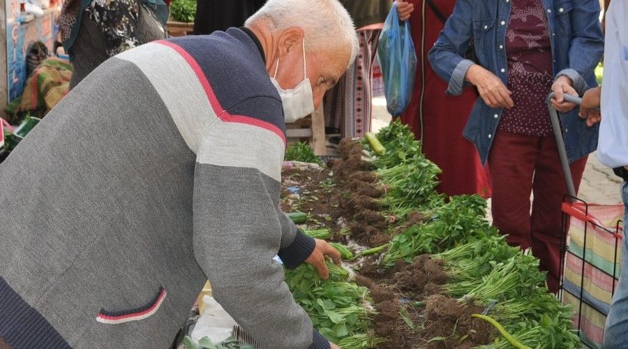 Organik fide pazar�na yo�un ilgi