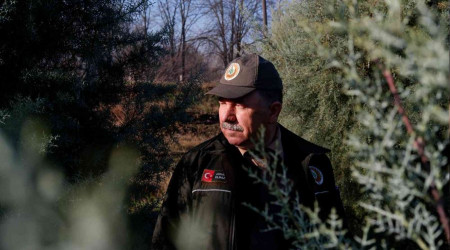 Ormancıların yılbaşı öncesi çam ağacı nöbeti