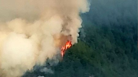 Osmaniye'deki orman yangn kontrol altna alnamyor