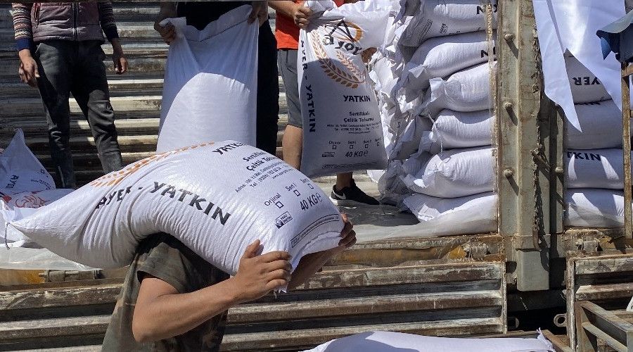 Osmanlı saray mutfağı pirincinin tohumları üreticilere dağıtıldı