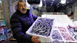 Palamuttan sonra hamsideki bolluk şaşırttı