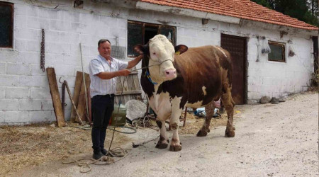 'Paşa', 210 bin TL'ye satıldı