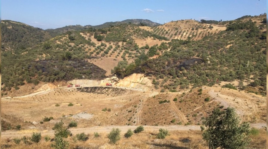 R�zgara ra�men zeytinlik yang�n� s�nd�r�ld�