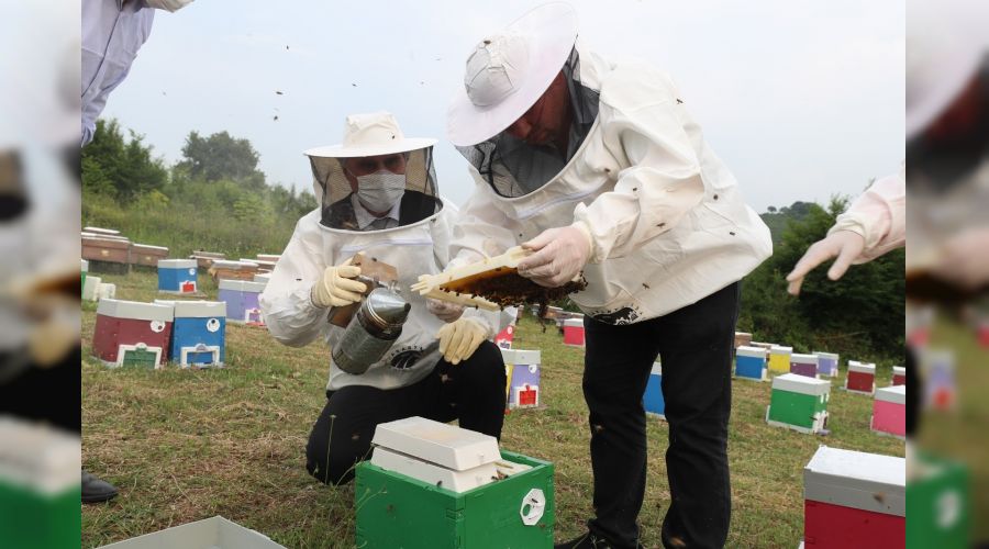 Sakaryal� kovanlar T�rk bal�n� lider yapacak