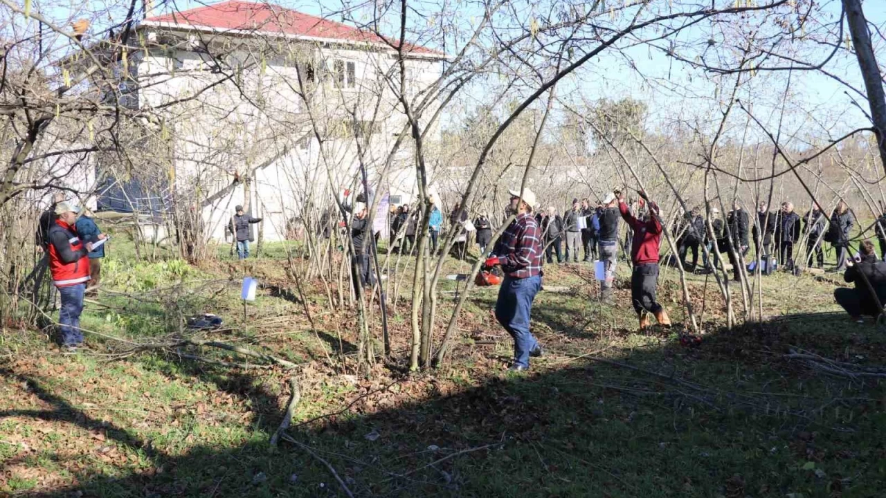Samsun'da ilgin� yar��mas�