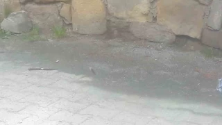 'Seni Kastamonu'da gezdirmem' sz tahrik sayld...