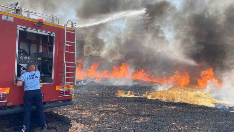 Siirt'te 130 dekar tarım arazisi küle döndü