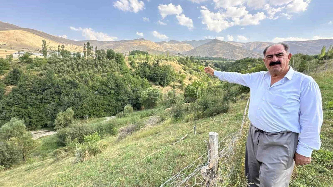 S�n�r de�il adeta 'Ye�il Vadi'