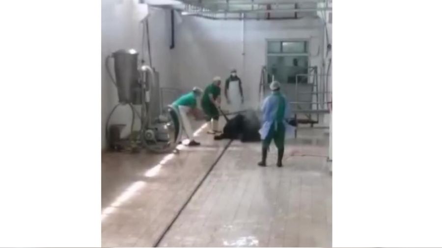 Skandal g�r�nt�lere iki g�zalt�  