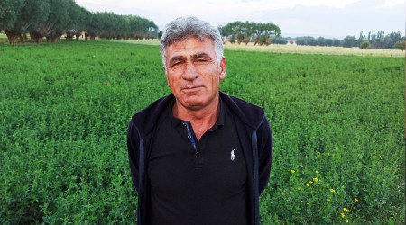 Şuhut'ta kuvvetli yağış ekili alanlara zarar verdi