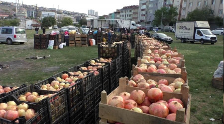 Sultangazi'de Adıyaman narına büyük ilgi