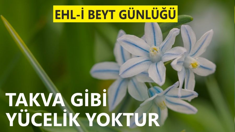 ‘Takva gibi yücelik yoktur’