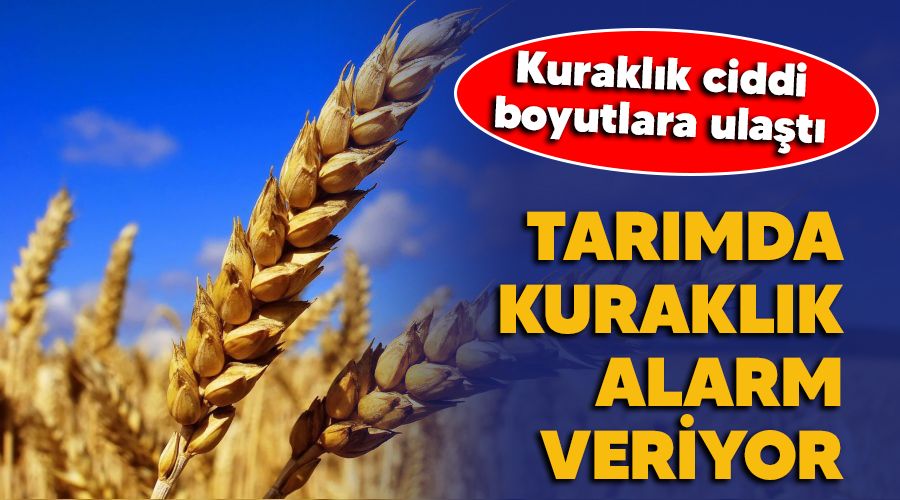 Tarımda kuraklık alarm veriyor