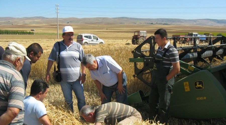 Tarımsal üretimdeki kayıplar, Türkiye'nin ekmek ihtiyacını karşılayacak düzeyde