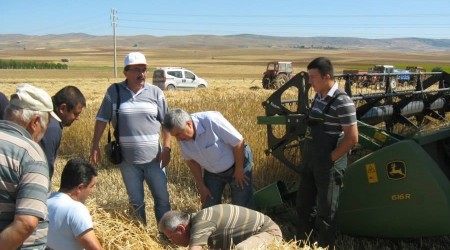 Tarmsal retimdeki kayplar, Trkiye'nin ekmek ihtiyacn karlayacak dzeyde