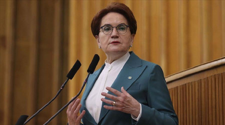 "Tarkan'ın şarkısı bazılarına çok ağır geldi"
