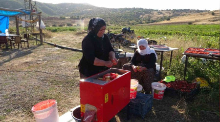 Tatvan'da salça kadınların gelir kapısı