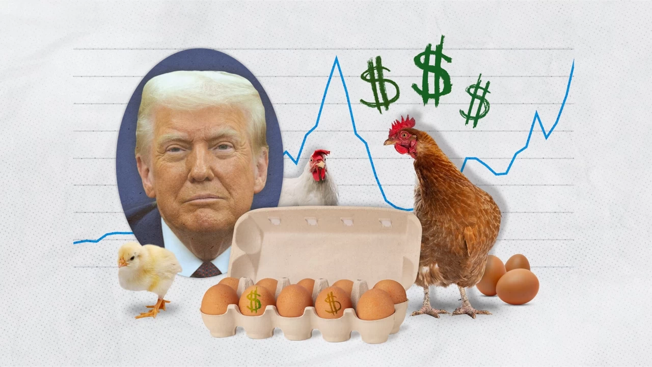 Trump, Avrupa pazarnn Amerikan tavuk ve yumurtalarna almasn savunurken, Avrupa lkeleri hijyen konusunda ciddi endieler dile getiriyor