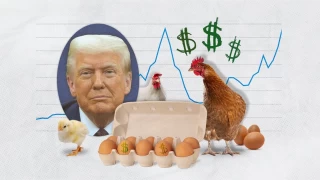Trump, Avrupa pazarnn Amerikan tavuk ve yumurtalarna almasn savunurken, Avrupa lkeleri hijyen konusunda ciddi endieler dile getiriyor