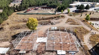 Trkiye'de ilk olma zellii tayor: Yapay zeka ile ynetilecek
