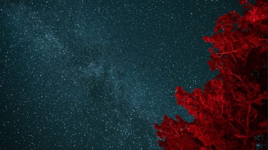 T�rkiye'nin en karanl�k noktas�nda G�ky�z� G�zlem �enli�i