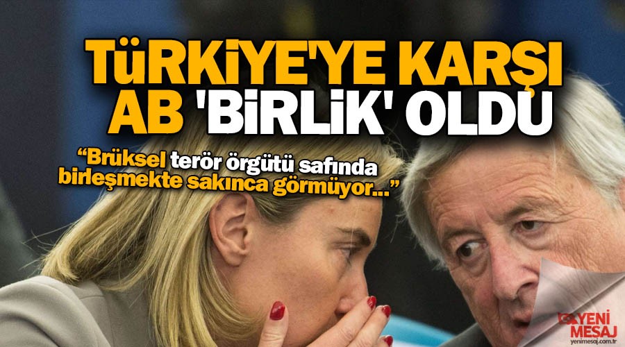 Türkiye'ye karşı AB 'birlik' oldu