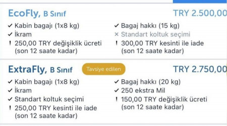 Uçak biletlerinde tavan fiyat 2 bin 500 TL oldu