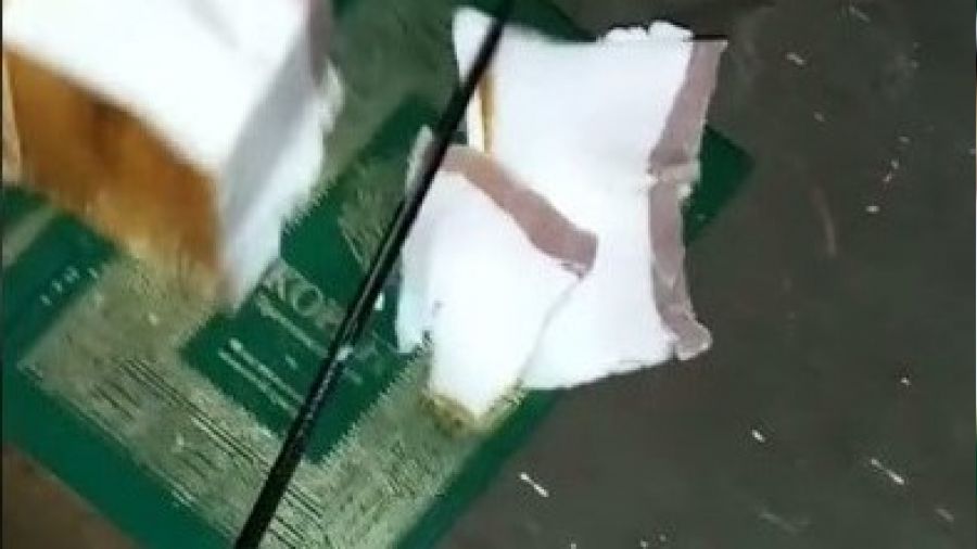 Ukrayna ordusundan Kur'an'a saygısızlık
