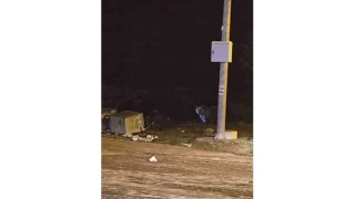 Uludağ'da kış uykusuna yatmayan ayılar, çöp konteynerlerini talan etti