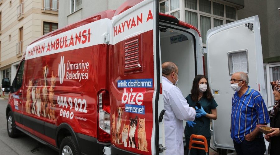 Ümraniye'de hayvan ambulansı hayat kurtarıyor