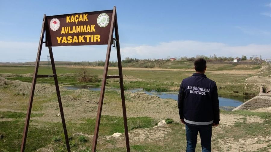 Van'da bir ayda 18 ton kaçak avlanmış inci kefali ele geçirildi