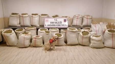 Van'da uval uval esrar ele geirildi