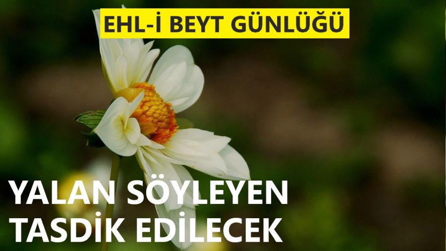 ‘Yalan söyleyen tasdik edilecek’